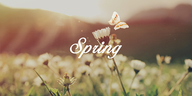 Spring forward through back office outsourcing | Acquire BPO Blog